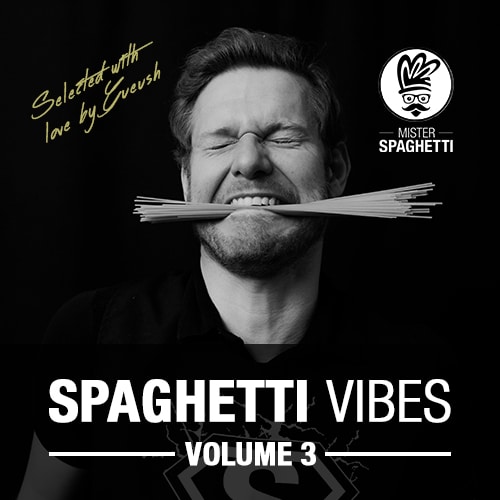 Mister Spaghetti Vibes Mister Spaghetti Vibes