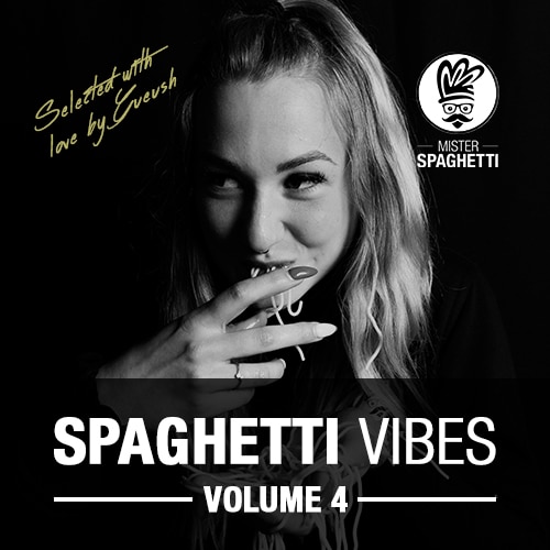 Mister Spaghetti Vibes Mister Spaghetti Vibes